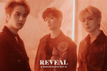 Альбом The Boyz - Reveal 1st Album 3 Version SET