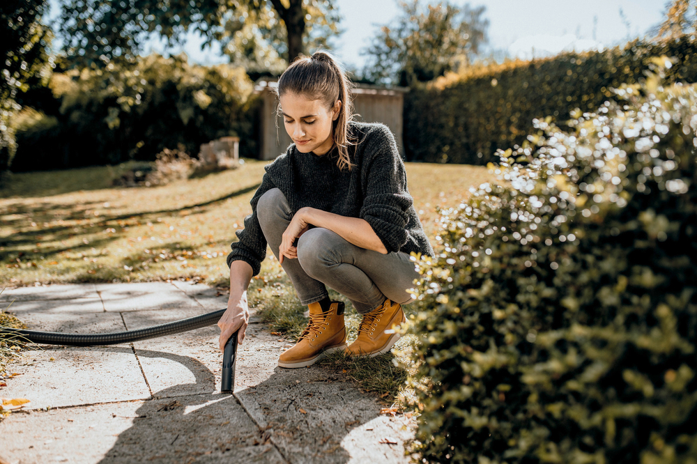 Хозяйственный пылесос WD 3 P V-19/4/20