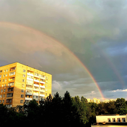 Грифон