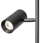 Citilux Twin CL809011N Торшер светодиодный Чёрный