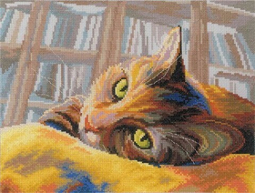 "Кот-книголюб"-M270  вышивка