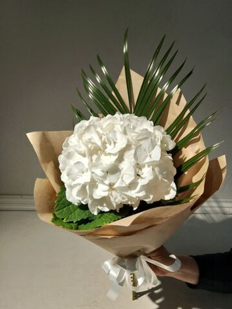 Комплимент с гортензии небесно-голубого цвета (М0030)