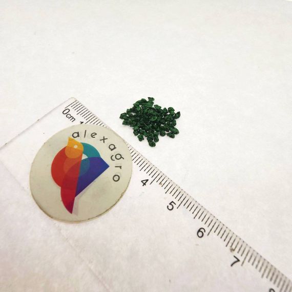 Форрест семена лука порей (Bejo /ALEXAGRO) отзывы