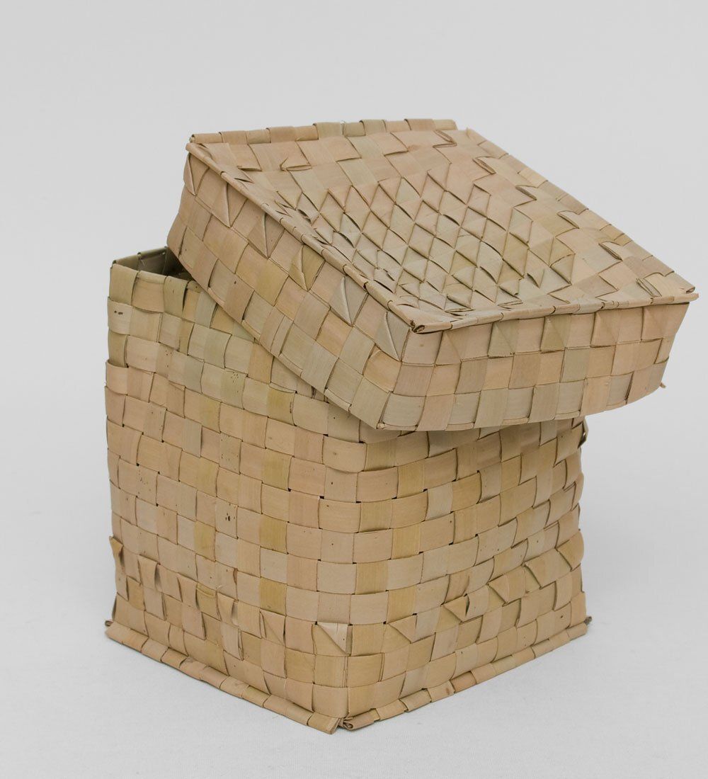 19-006 Ракушка расписная (о.Бали) L - Вариант A