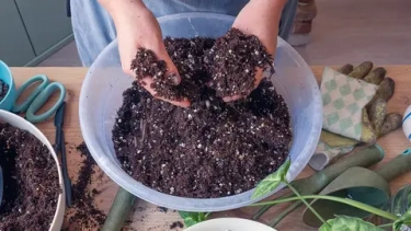 Готовим грунт для рассады своими руками: три проверенных сибирских рецепта