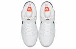 Кроссовки Nike Dunk Sb Pro Iso