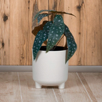 Кашпо ШЭНК 6,5л D220мм H=225мм вставка и автополив, с индикатором уровня воды, на ножках