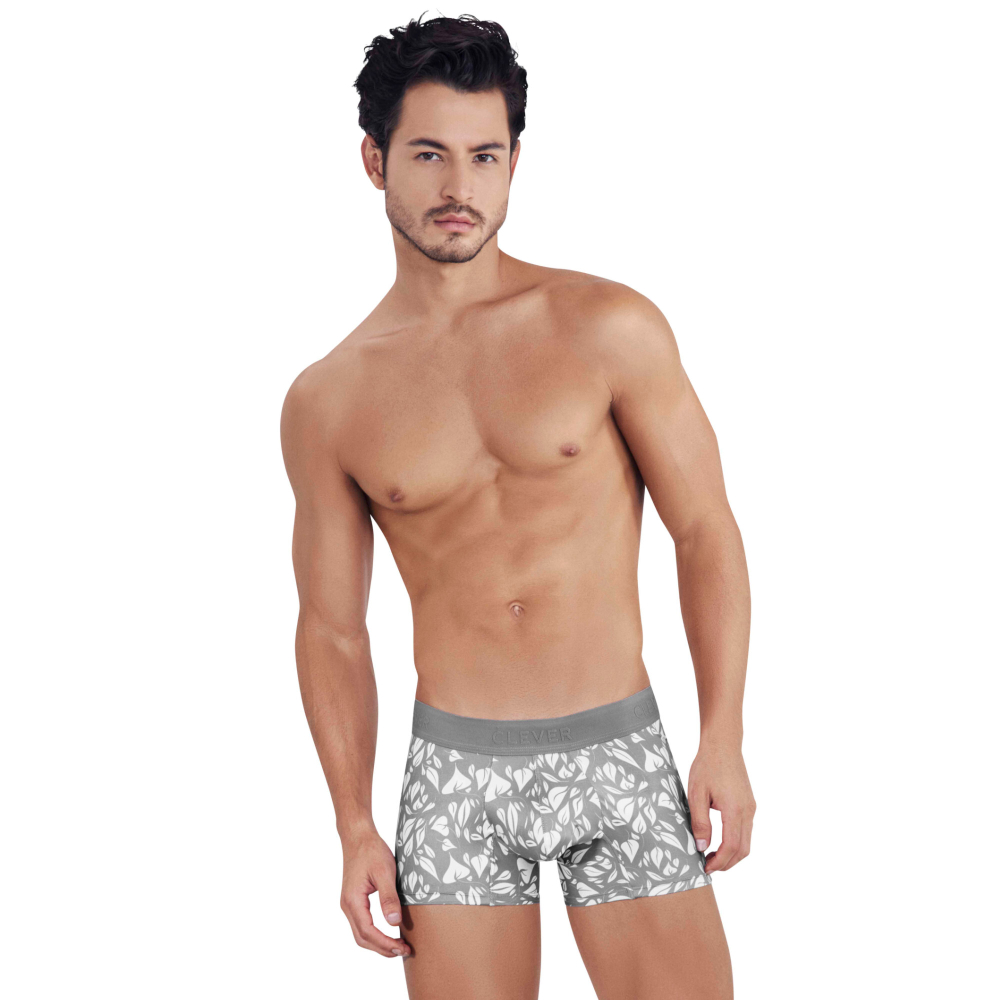Мужские трусы хипсы серые с принтом Clever Moda GRACE TRUNKS 145612