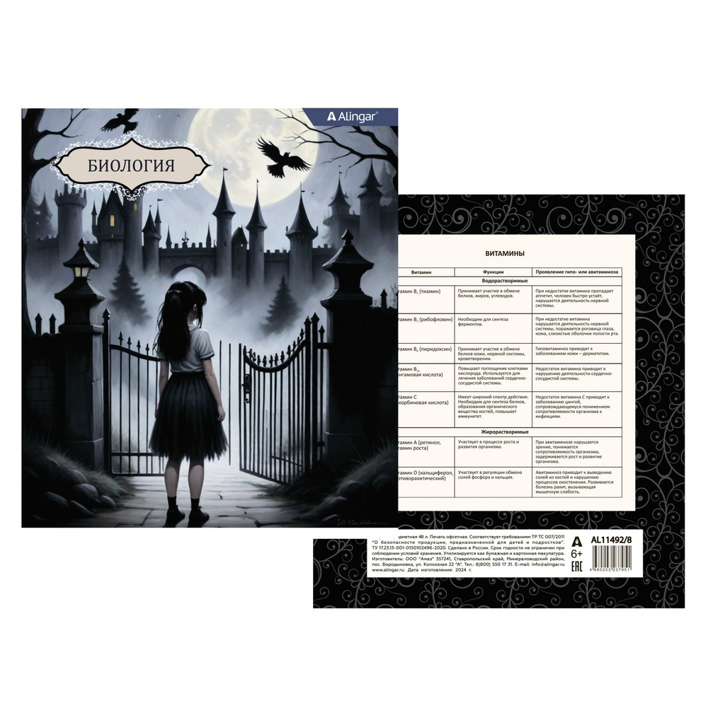 Комплект предметных тетрадей А5 48л., 10 предметов, со справ матер, скрепка, мелов. картон (стандарт), блок офсет, Alingar "Mystical wednesday"