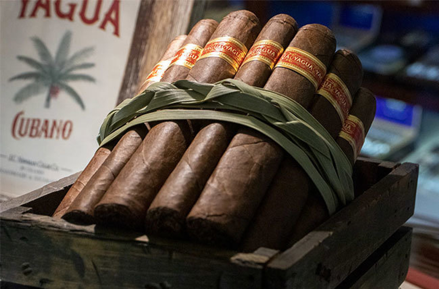 Yagua от JC Newman – сигара из далёкого прошлого