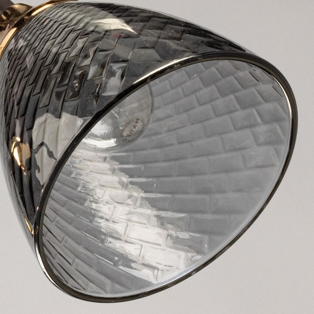 Люстра на штанге De City Альфа 29 115010303