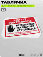 Табличка для частной территории "Частная собственность", на дом, для участка, организаций, предупреждающая, 40х30 см, Silver Plane x Айдентика Технолоджи