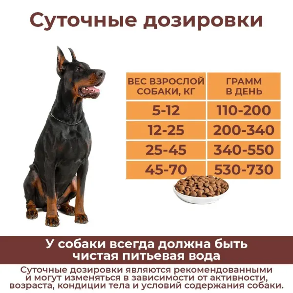 Сухой корм Дилли для активных собак