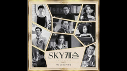 Альбом SKY Castle SKY JTBC Drama OST