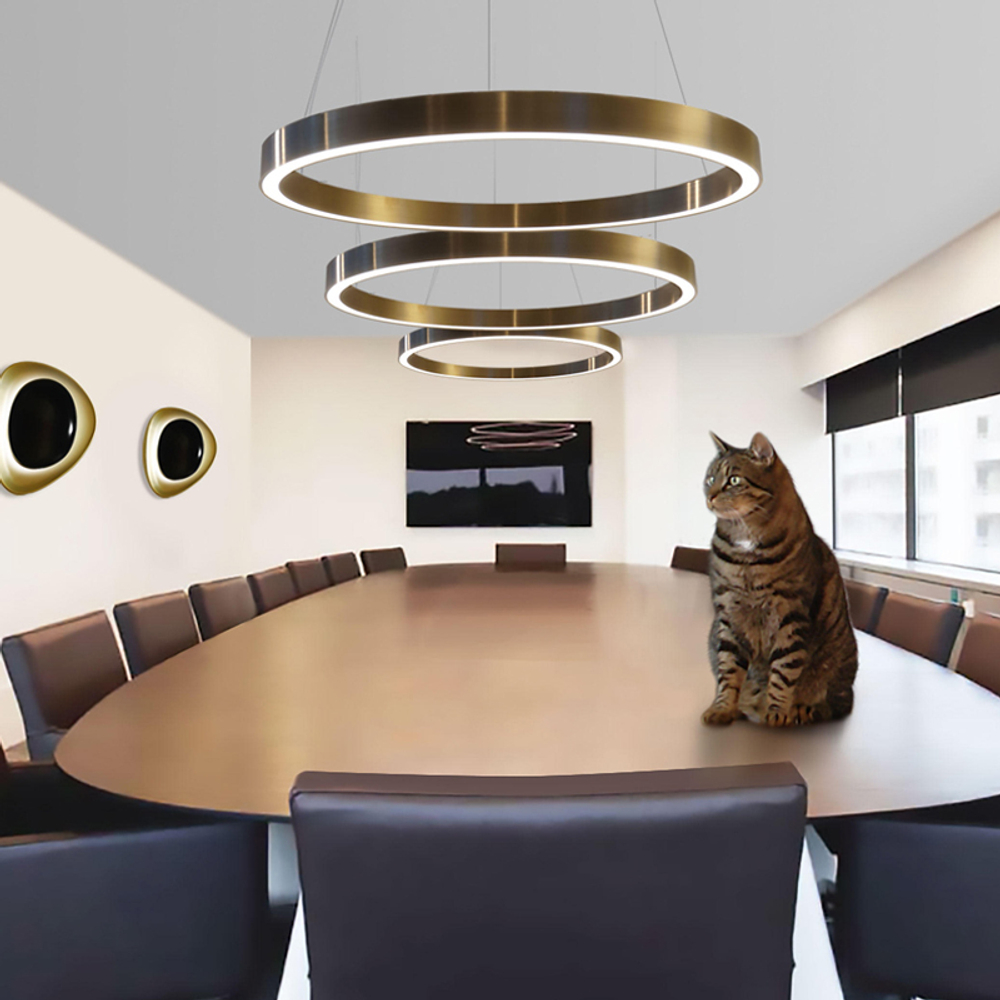 Pendant design lamp  Light Ring 5 by HENGENG