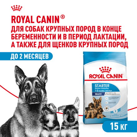 Royal Canin Maxi Starter Корм для щенков крупных размеров беременных и кормящих собак 15 кг