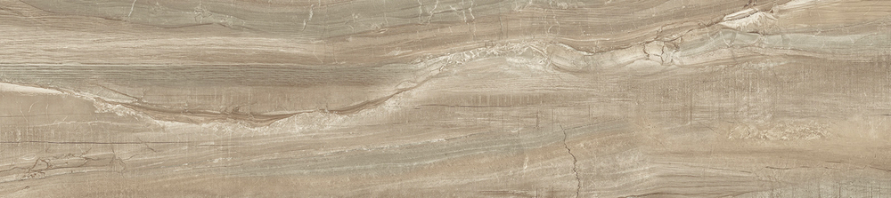 Вандервуд / Wonderwood