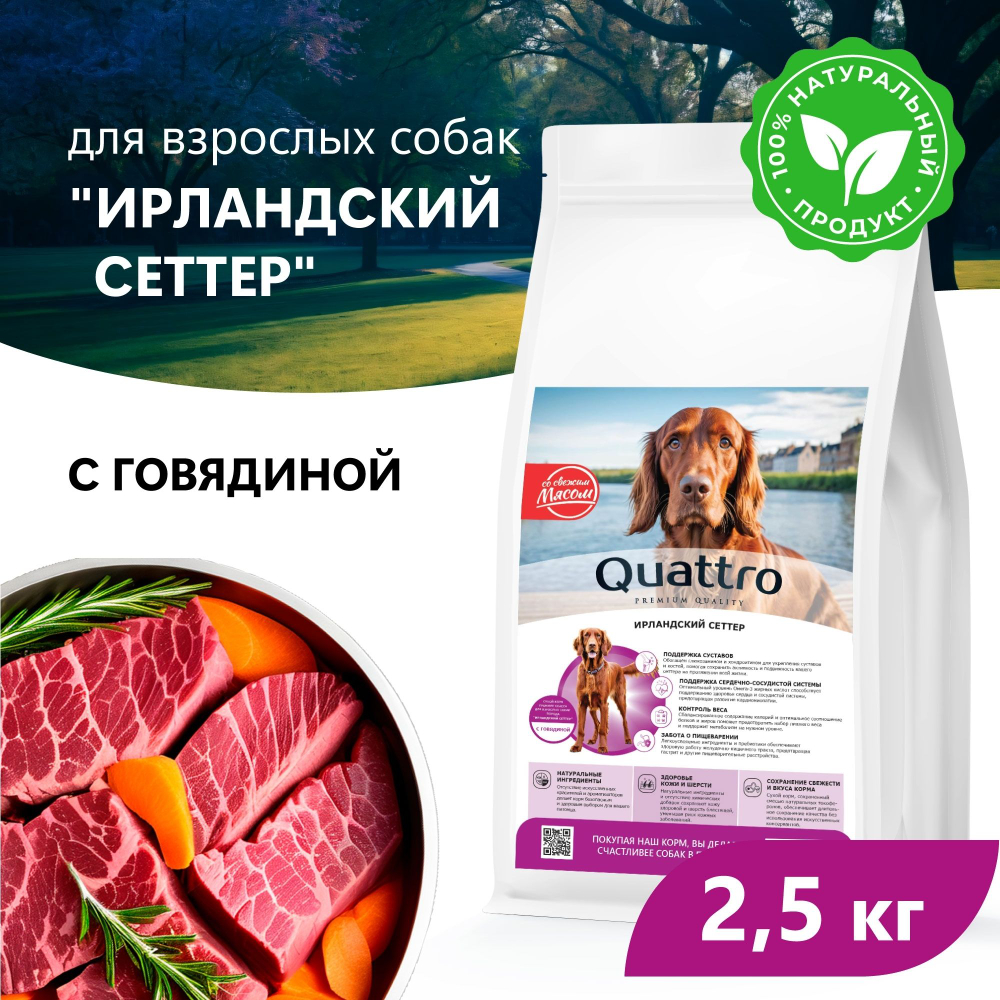 Корм сухой для взрослых собак породы Ирландский сеттер, премиум полнорационный комплекс, с говядиной, 2,5 кг, QUATTRO