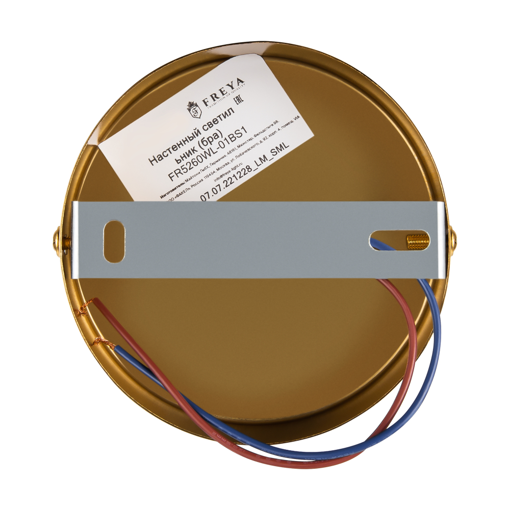 Настенный светильник (бра) Freya FR5260WL-01BS1