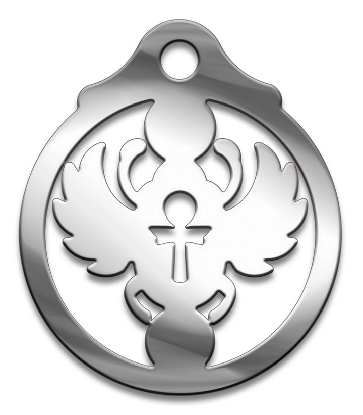 Амулет Символы Суперхит № 28 Скарабей, медицинская сталь