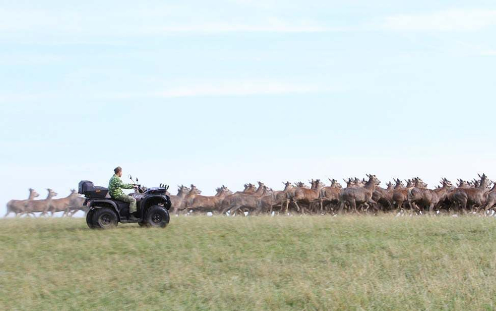 Квадроцикл BALTMOTORS Striker 700 EFI (ПСМ)