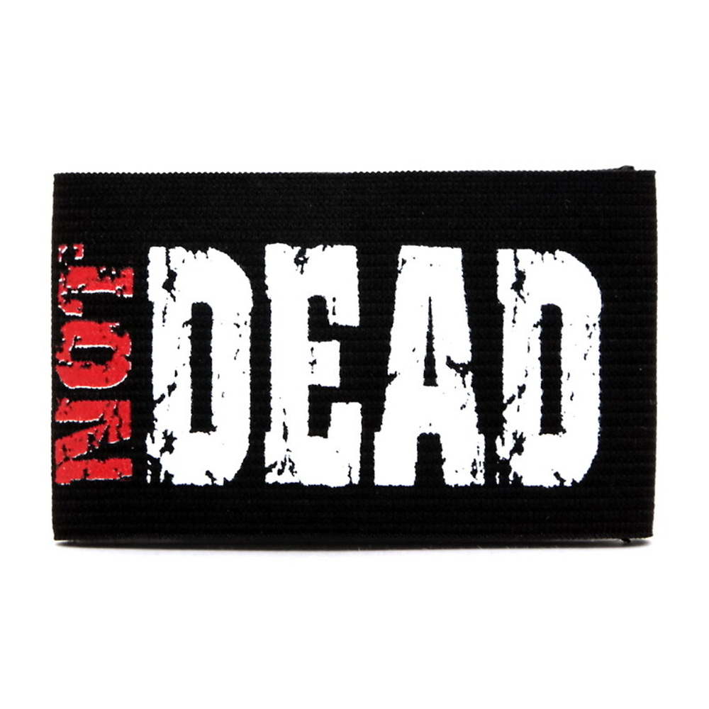 Напульсник Punk Not Dead (069)