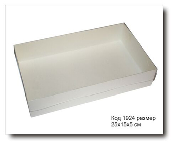 Коробочка код 1924 размер 25х15х5 см с пластиковой крышкой