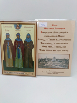 Частица дерева со СВ. Канавки Царицы Небесной
