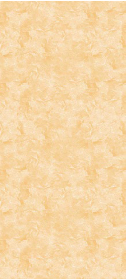 Панель ПВХ офсетная печать Венецианская штукатурка бежевый 2700х250 мм