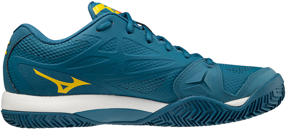 Кроссовки мужские Mizuno Wave Intense Tour 5 Clay, арт. 61GC1900-30