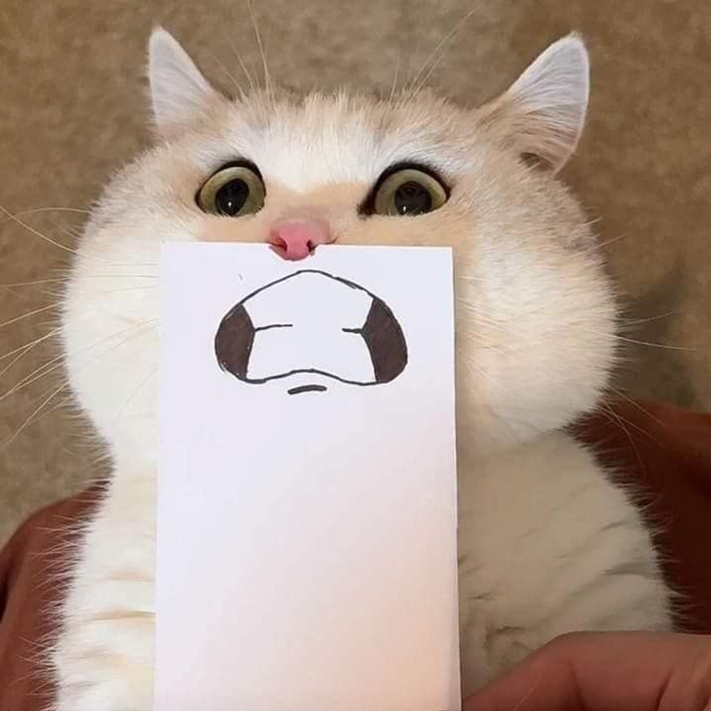 тестовый товар 1