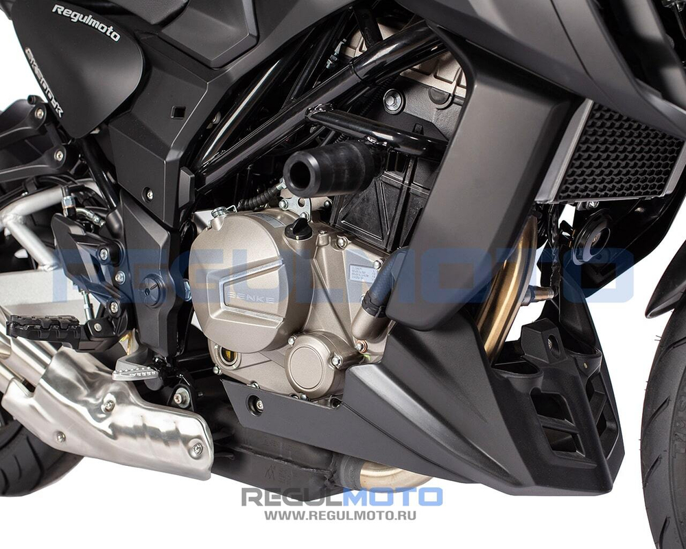 Мотоцикл Regulmoto ALIEN MONSTER 300