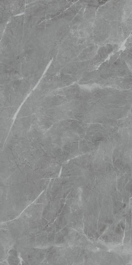 Керамогранит Belvedere Eva Gris Polished (N20468)