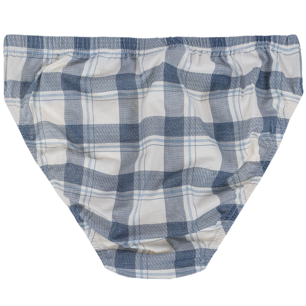 Комплект из 2 мужских трусов-слип с контрастным принтом в клетку (Размер: L) (Цвет: разноцветный)