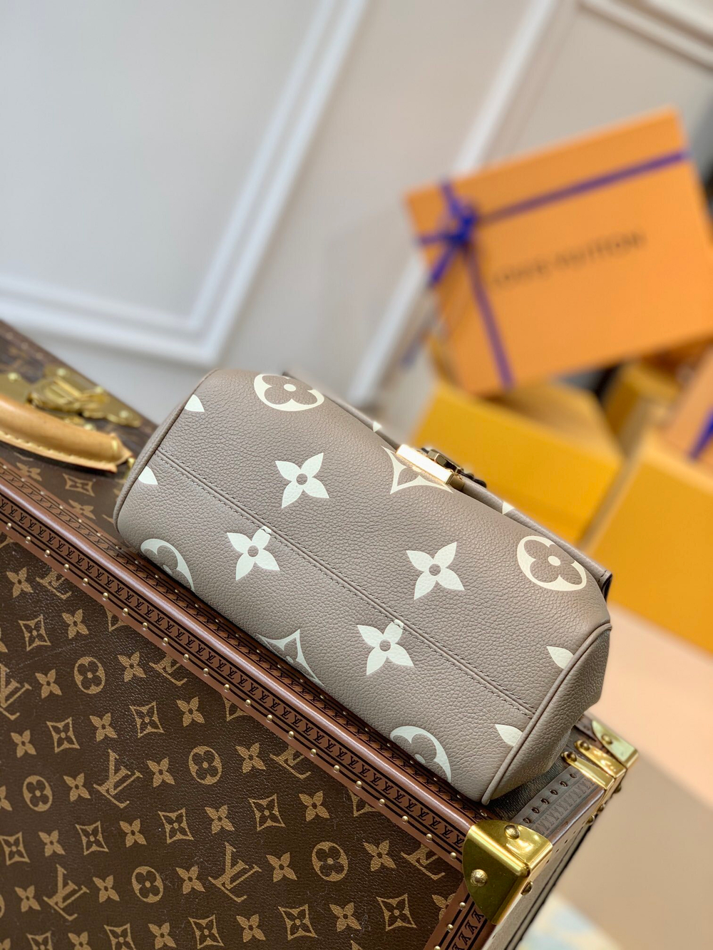 Louis Vuitton Favorite