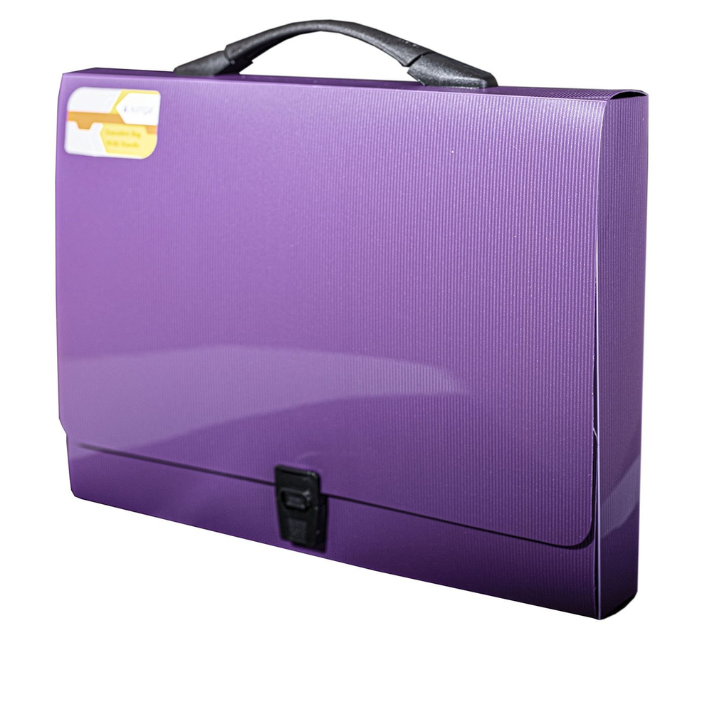 Папка-портфель на застежке Alingar, А4 360х265х40 мм, пластиковая, 800 мкм, ассорти, матовая, карман для визитки, "Flossy"