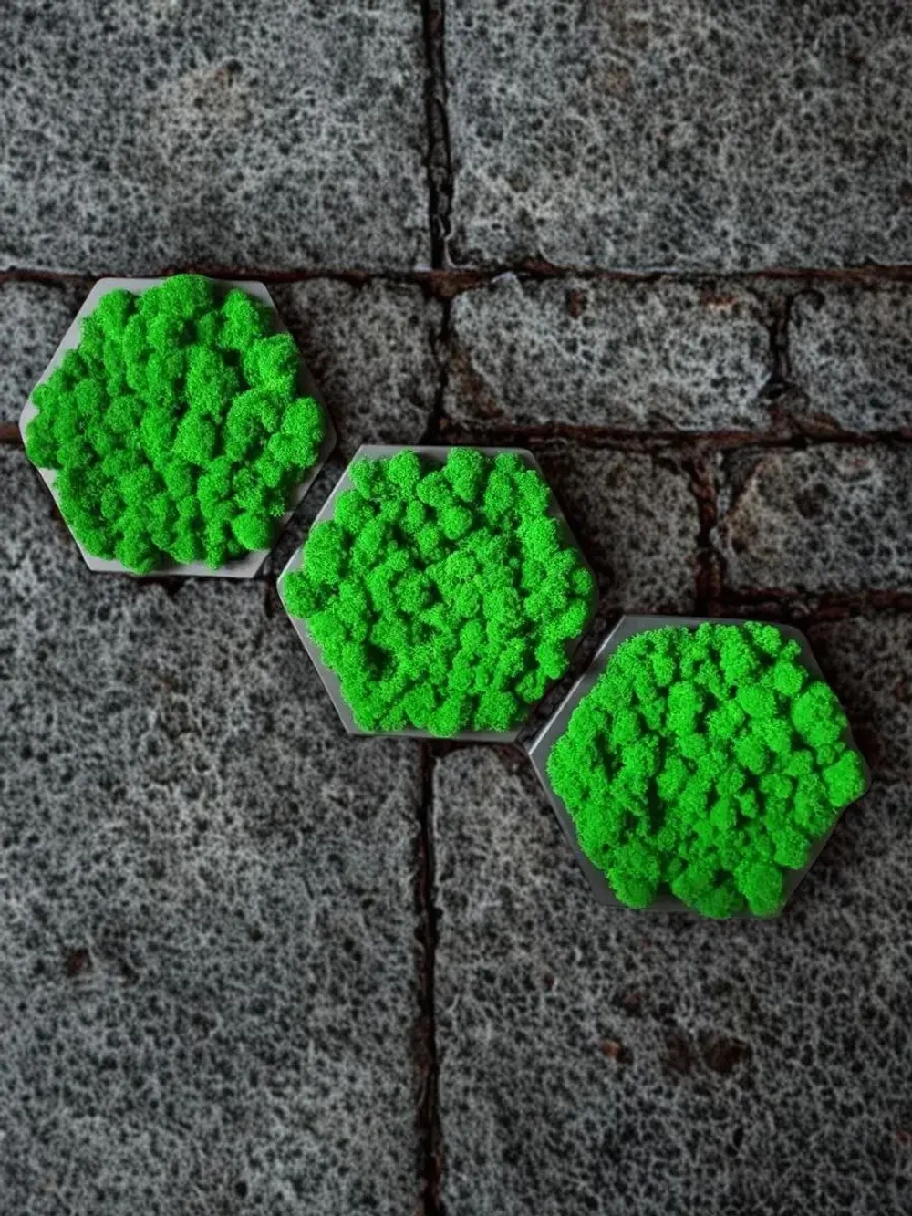 Панно из стабилизированного мха "Соты" набор 3 шт.