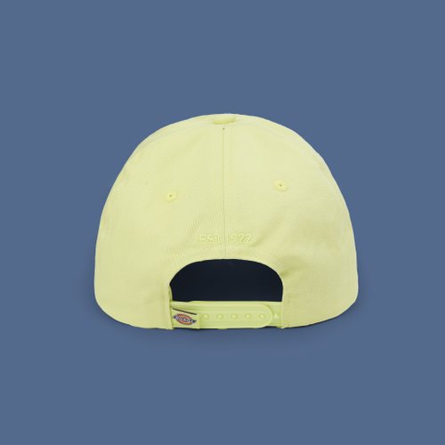 Кепка Dickies Hardwick 6 Panel Logo артикул:DK0A4TKVH141 - купить в магазине Дайс