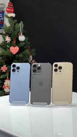 iPhone 13 PRO MAX