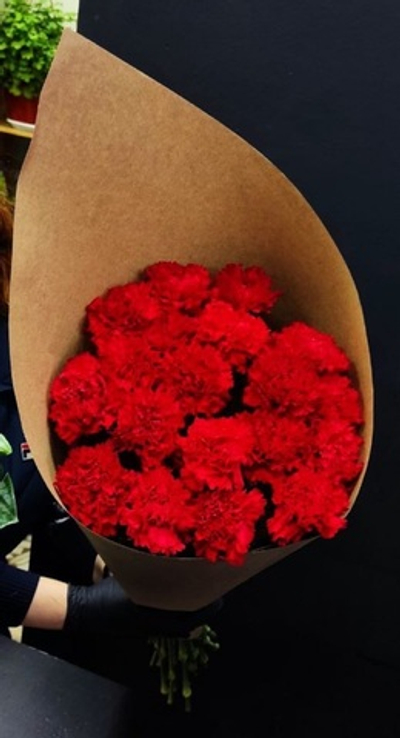 Гвоздика 20шт