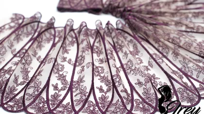 Новинка вышивка на сетке для нижнего белья