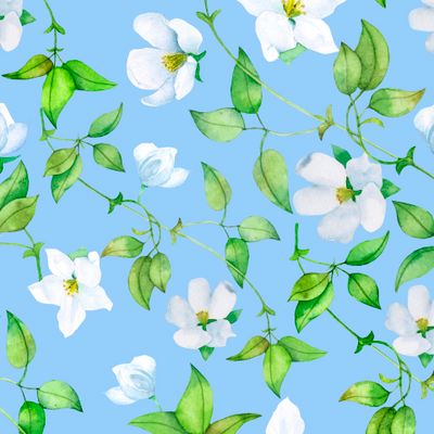 Seamless watercolor pattern of white flowers of apple tree on a blue background.