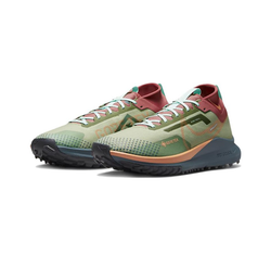 Мужские кроссовки Nike Pegasus Trail 4 Gore-tex 'Alligator' DJ7926-300