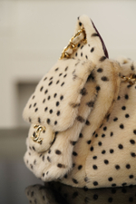 Chanel 25 Mini Handbag