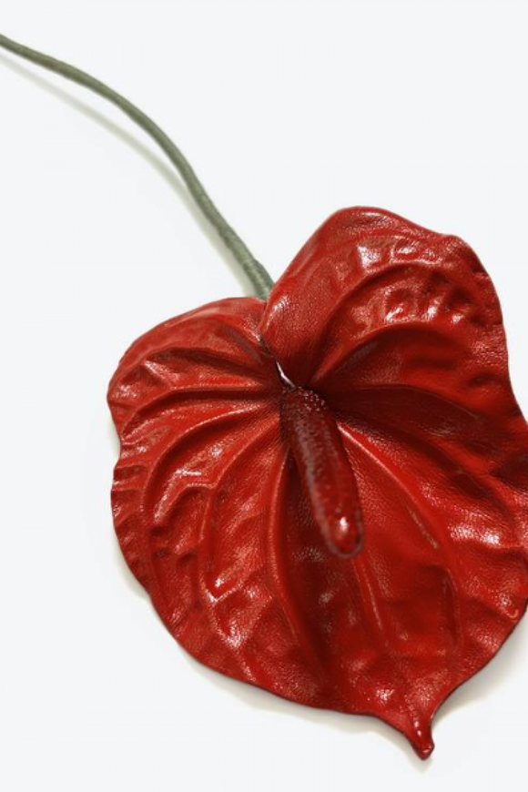 Брошь  BIG BROOCH Антуриум красный