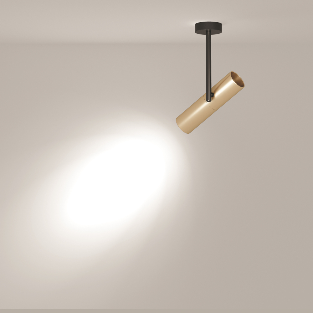 Потолочный светильник Technical C020CL-01GB