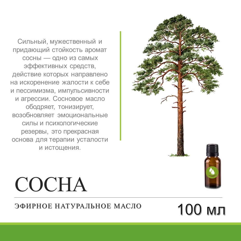 Эфирное масло сосны / Pinus Silvestris Oil