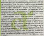 Гвоздика Тур. Фиолетовая гора 0,2 г СМЦ-554