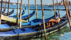 Микровелюр Xpoint (Икспоинт) 0026.01 Венеция лодки