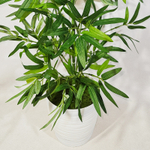 Искусственное растение Бамбук 85 см в кашпо